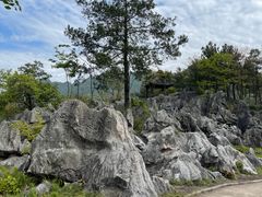 -千岛湖石林