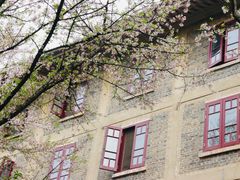 -武汉大学-樱园