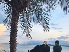 -观海轩餐厅(一线海景店)