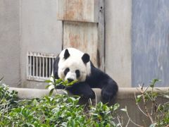 -柳州市动物园