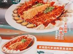 -望湘园·洞庭渔宴(浦江欢乐颂店)