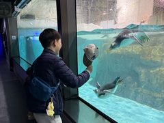 -大连圣亚海洋世界