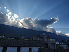 -喵屿·大理花园猫咖