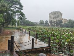 -大屏嶂森林公园