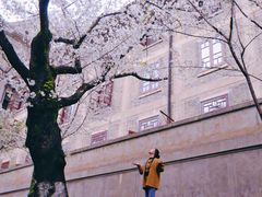 -武汉大学-樱园