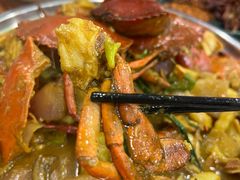 -瑞丽活螃蟹(芒市店)