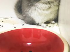 -龙猫仔乐园(惠福东路店)