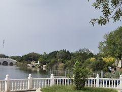 -大港湿地公园