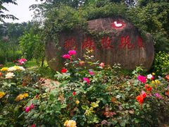 -鹅湖玫瑰文化园