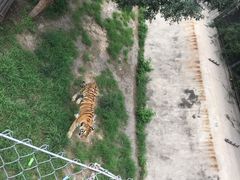 -石家庄市动物园