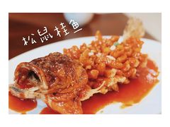 松鼠桂鱼-老苏州茶酒楼