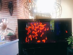 -M-SHOW 米秀主题KTV(左岸印巷店)