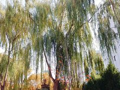 -兰州财经大学(和平校区)
