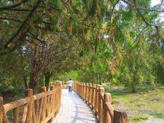 -白水寺森林公园