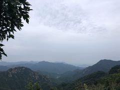 -大岭沟猕猴桃谷风景区