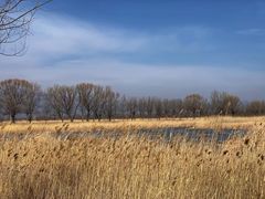 -野鸭湖国家湿地公园