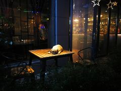 -519 DJ HOUSE(领show店)