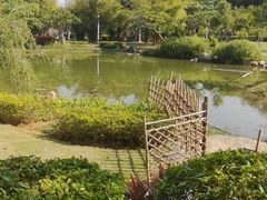 -惠和石文化园