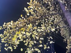 -何师烧烤Pro ·江湖川菜·小龙虾·精酿(太古里旗舰店)