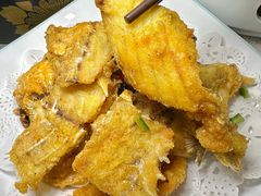 -寻味顺德·南记酒家·传统顺德菜·鱼生(广源路店)