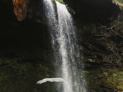 -龙苍沟森林公园