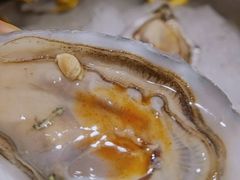 -囧吉香生蚝牛排馆(湖北路店)