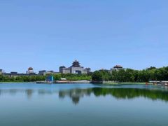 -莲花池公园