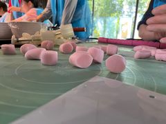 -菊园百果园