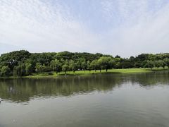 -上海方塔园