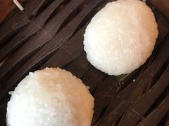 茨毛圆子-双塔老饭店