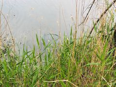 -白河湾生态旅游一条川