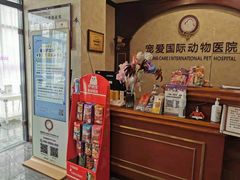 -宠爱国际动物医院· 猫科· 外科·中兽医(长白店)