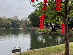 -晓港公园