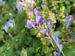 -广州神农草堂中医药博物馆