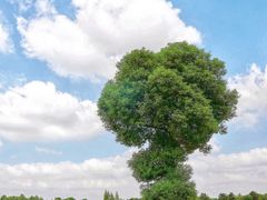 -山明水秀大饭店