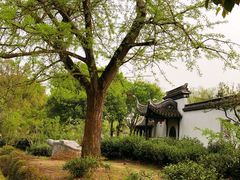 -雨花胜境