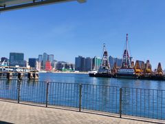 -新码头街九龙城渡轮码头(轮渡站)