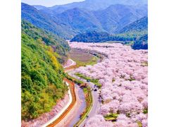 -天柱山风景区