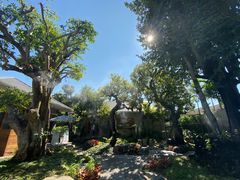 -Chom Cafe and Restaurant