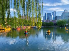 -团结湖公园