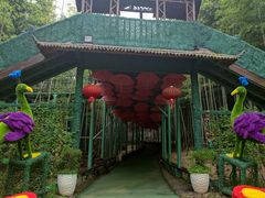 -陶祖圣境风景区