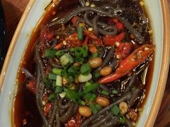 酸辣蕨根粉-龙聚德北京烤鸭(沙坪坝华宇A馆店)