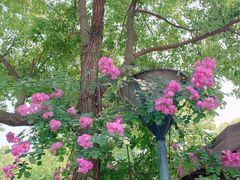 -兴福老面馆(寺路街店)