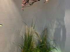 -蜜桃餐厅·伴山(绿宝广场店)