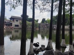 -凌舍好烧鹅(中山路店)