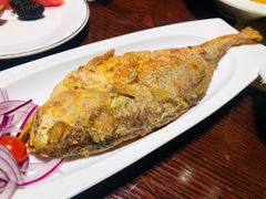 -马迭尔德式西餐精酿啤酒屋(中央大街店)
