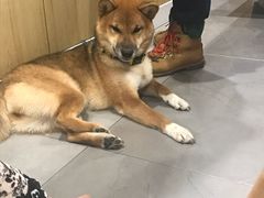 -NOTBAD 须时·咖啡馆