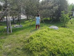 -武清南湖绿博园