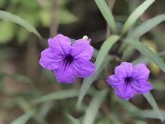 -坂田手造文化街