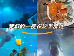 -海棠湾洲际-涛·海底餐厅·美人鱼·自助餐·海底隧道